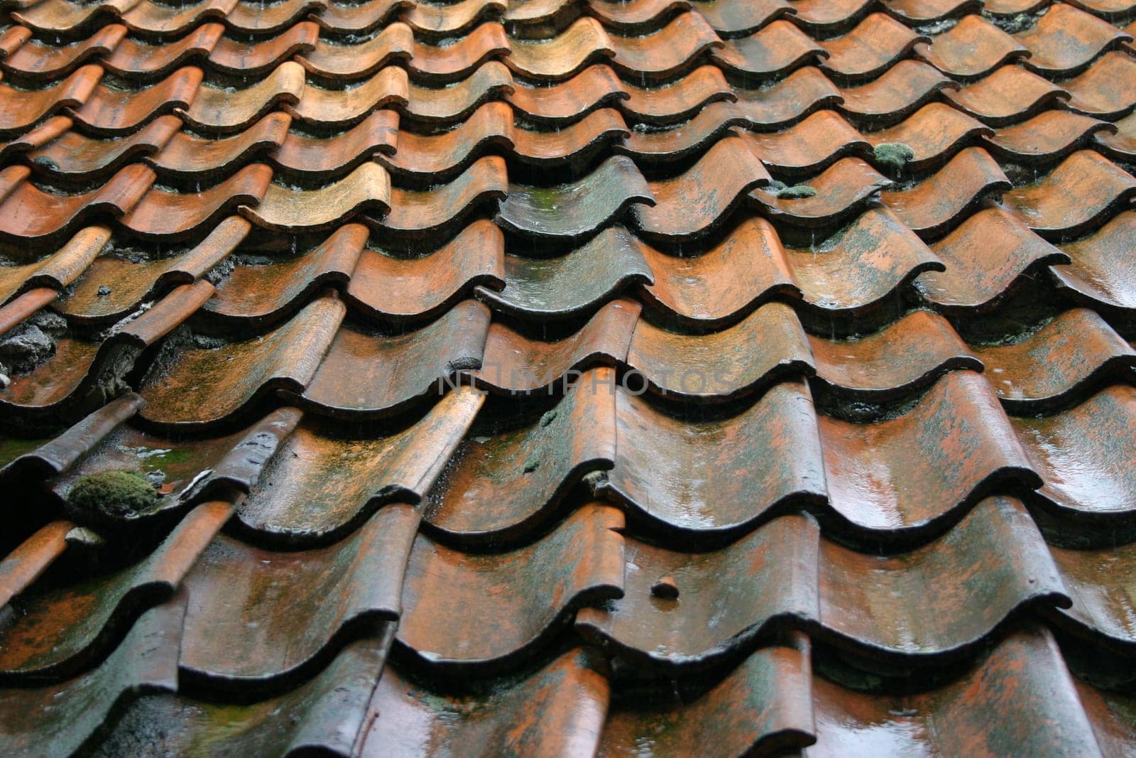 wet roof