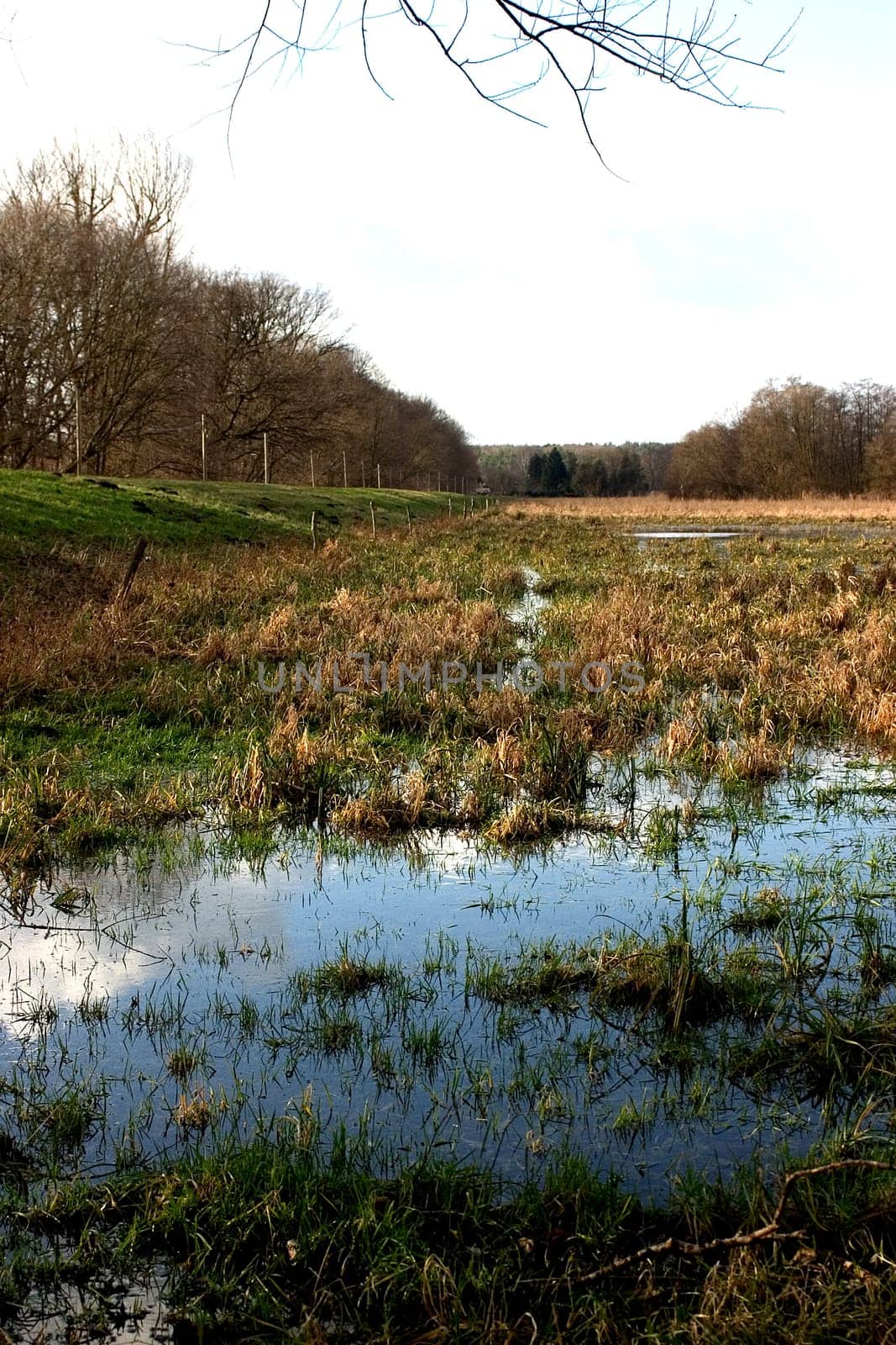 Winterwiese 02