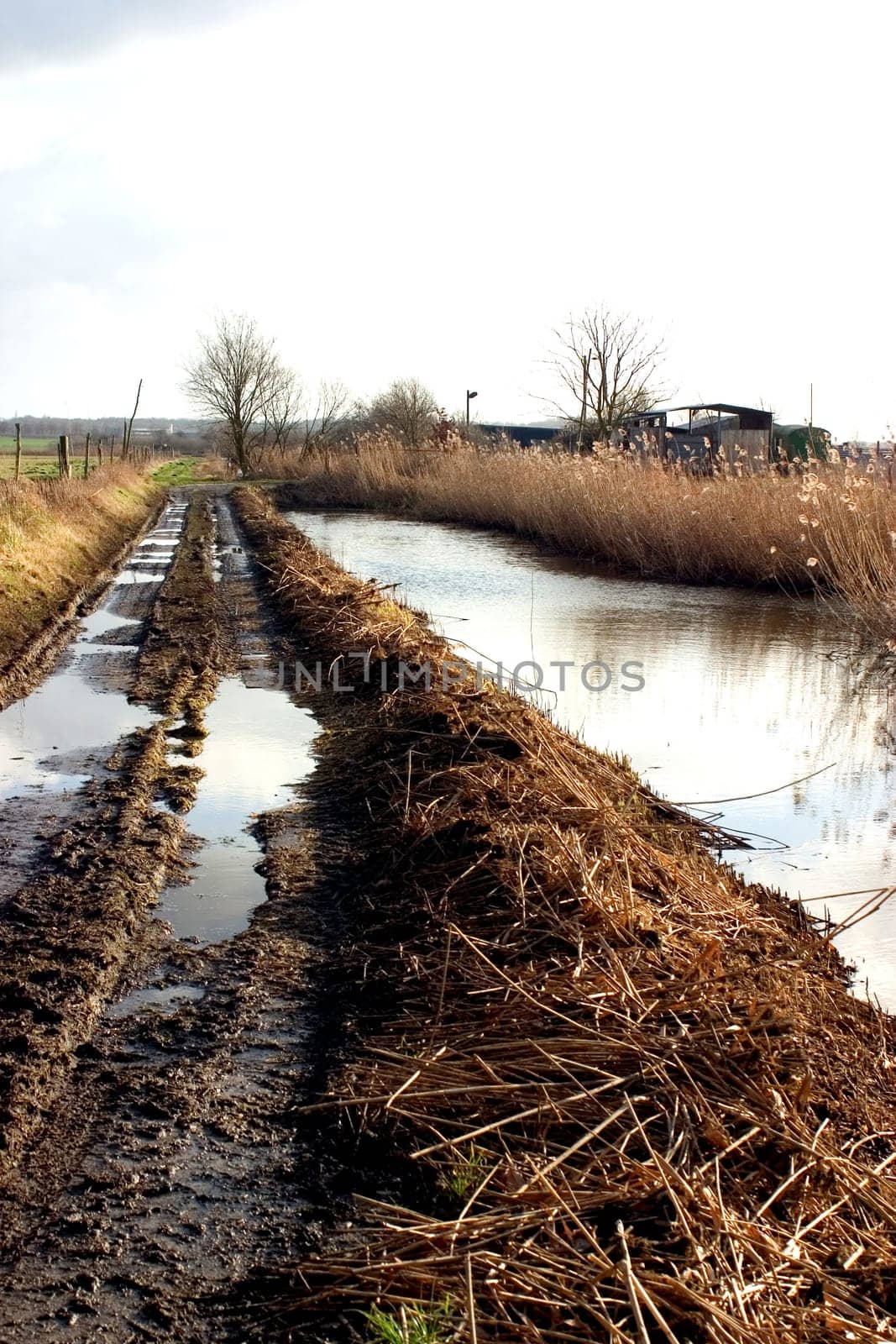 Dirt road 02