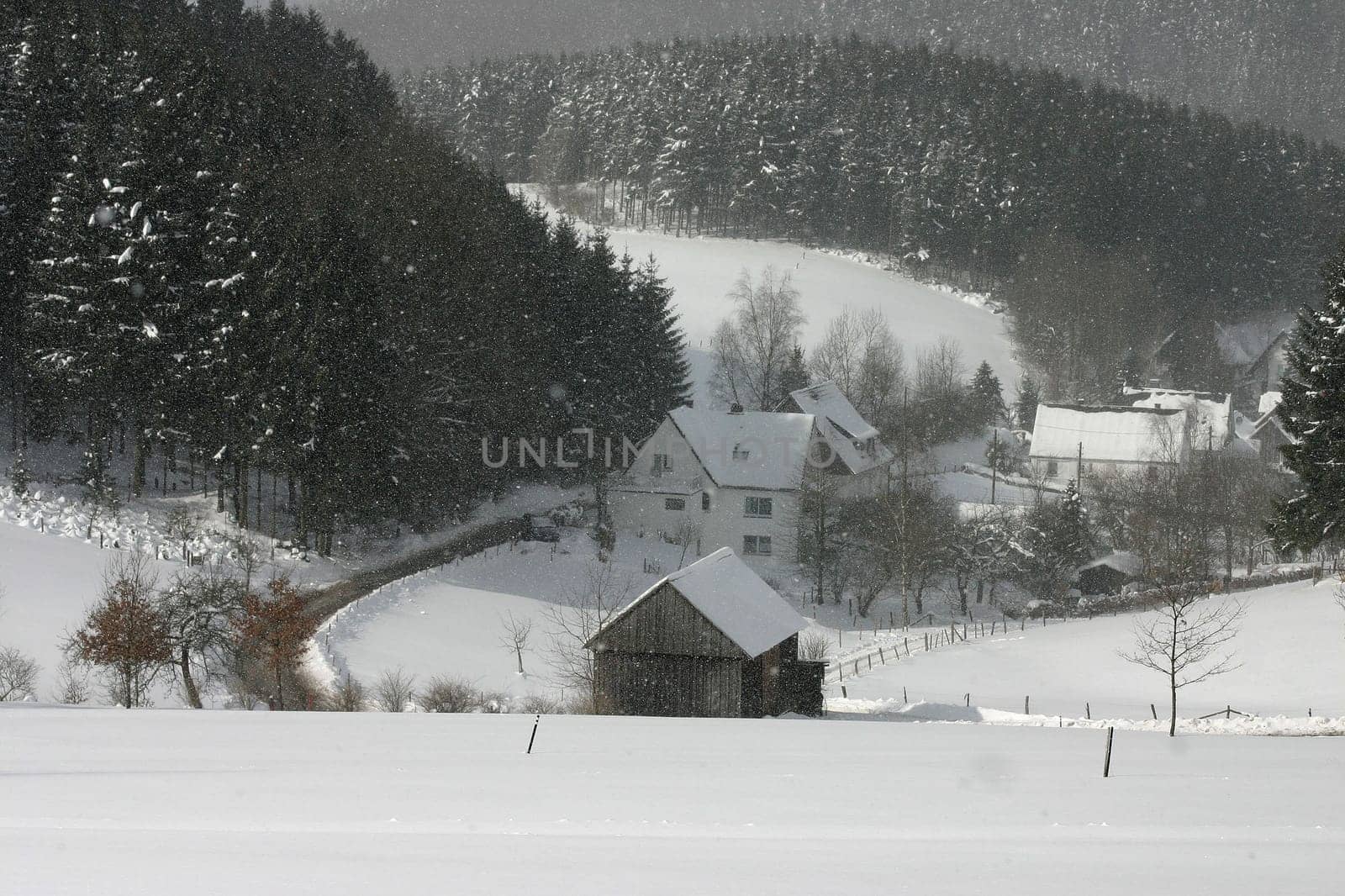 Winter