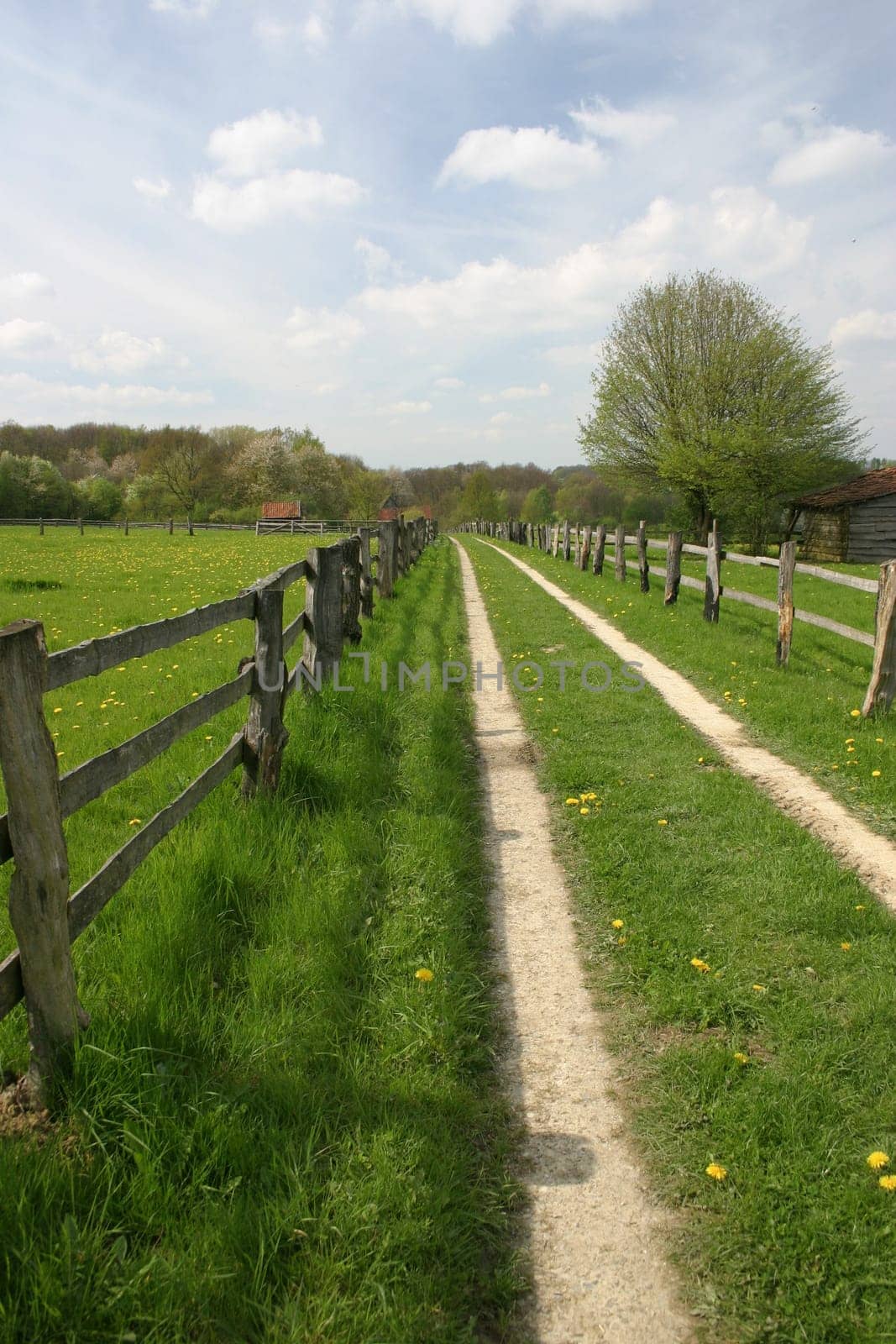 Dirt road