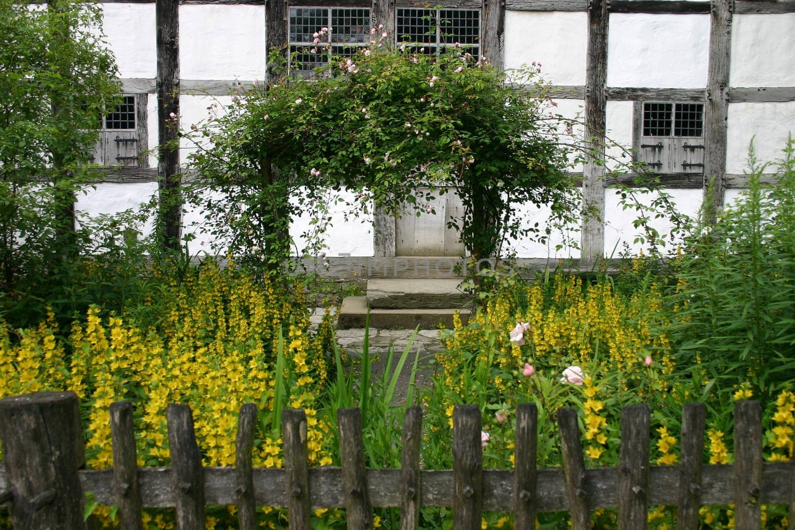 Cottage garden