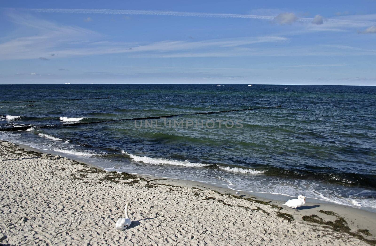 Beach on the Baltic Sea near Kühlungborn