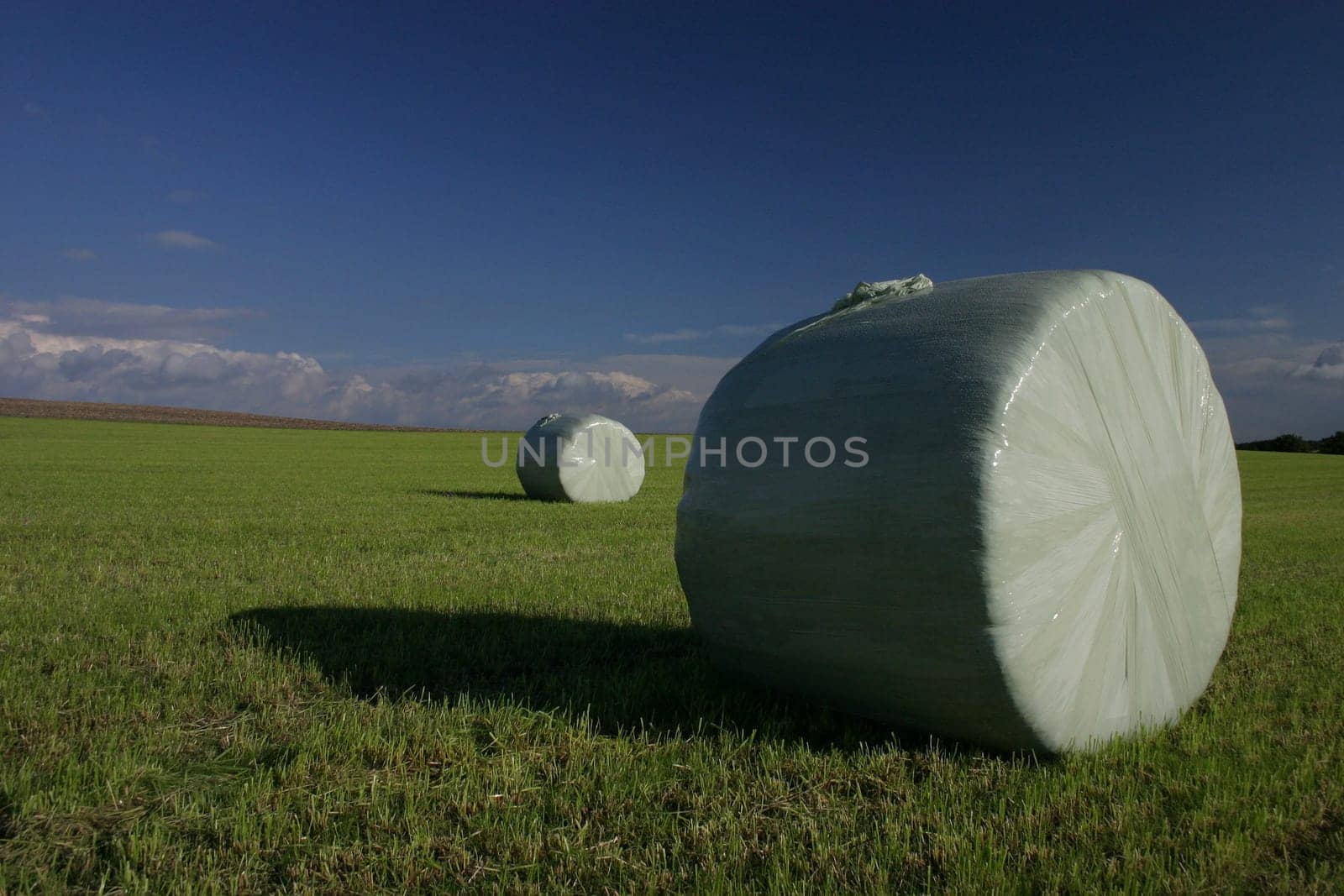 Harvest closure