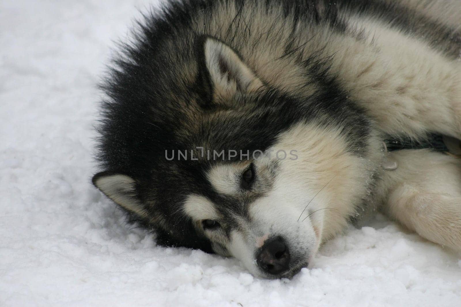 tired