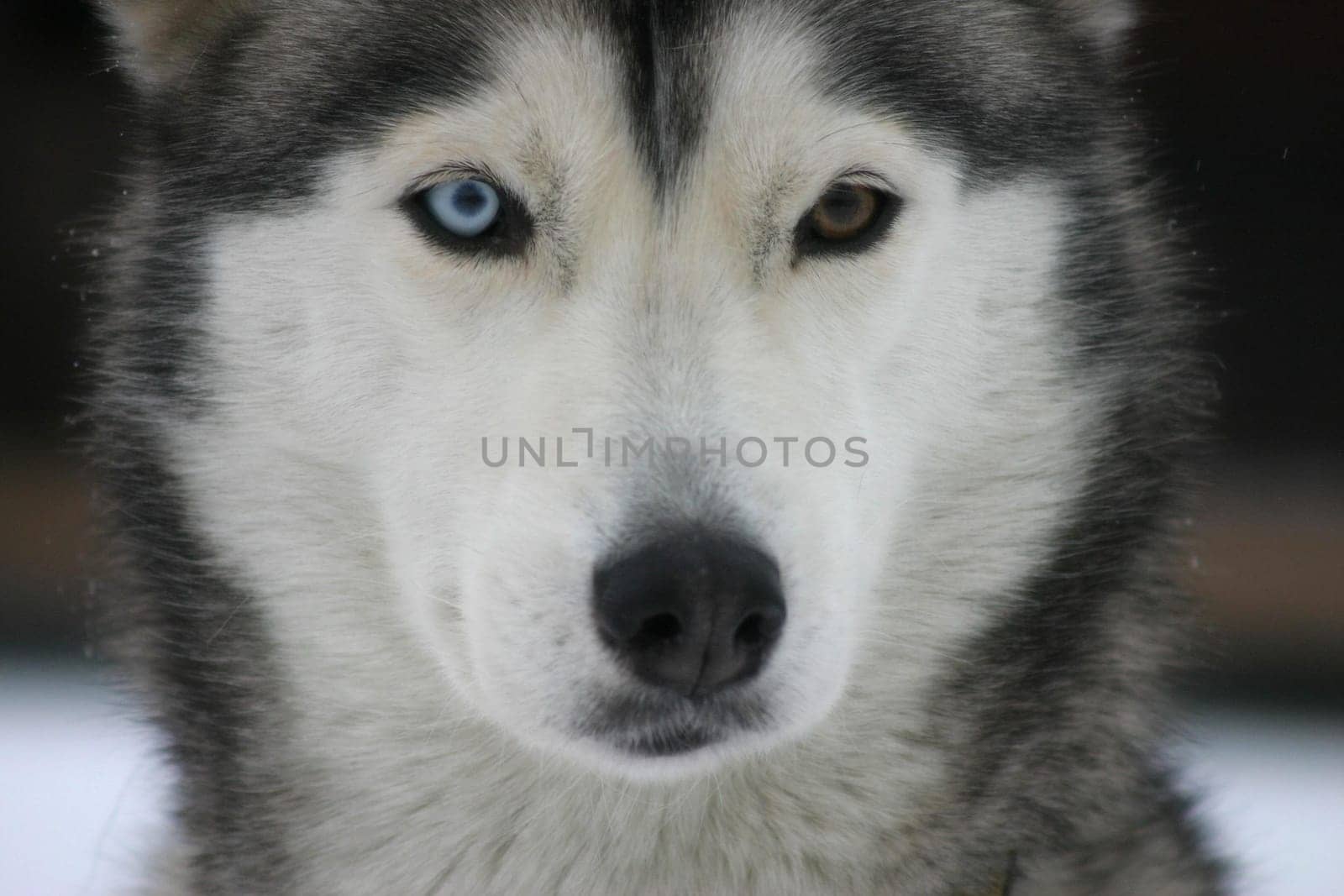different eyes