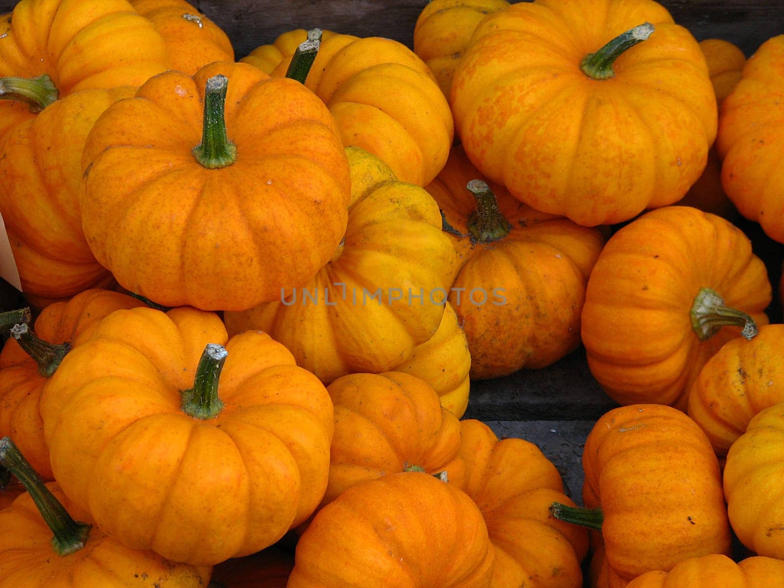 Autumn time - harvest time
