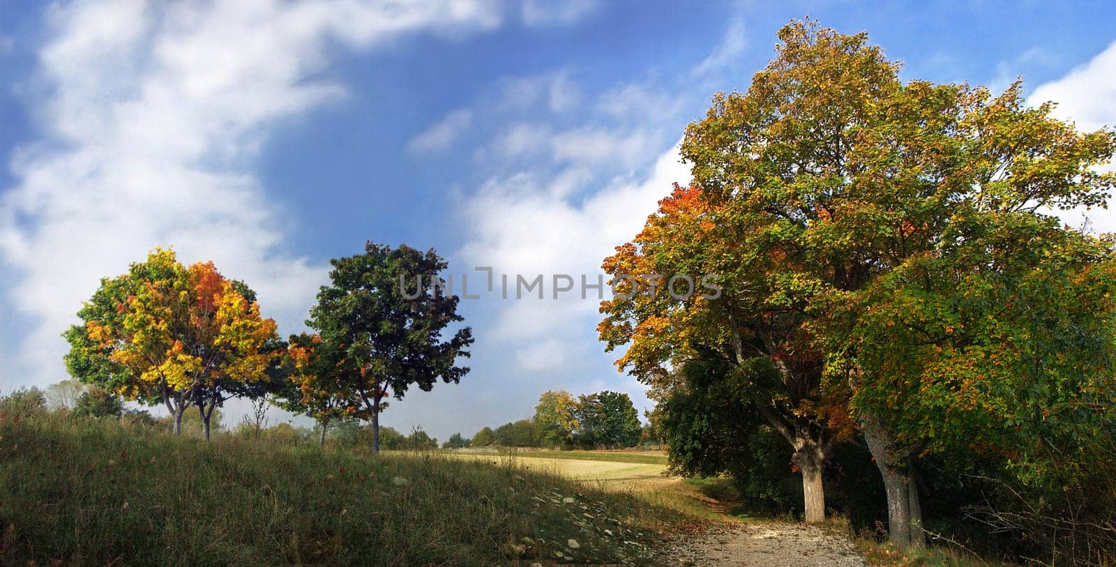 Late summer
