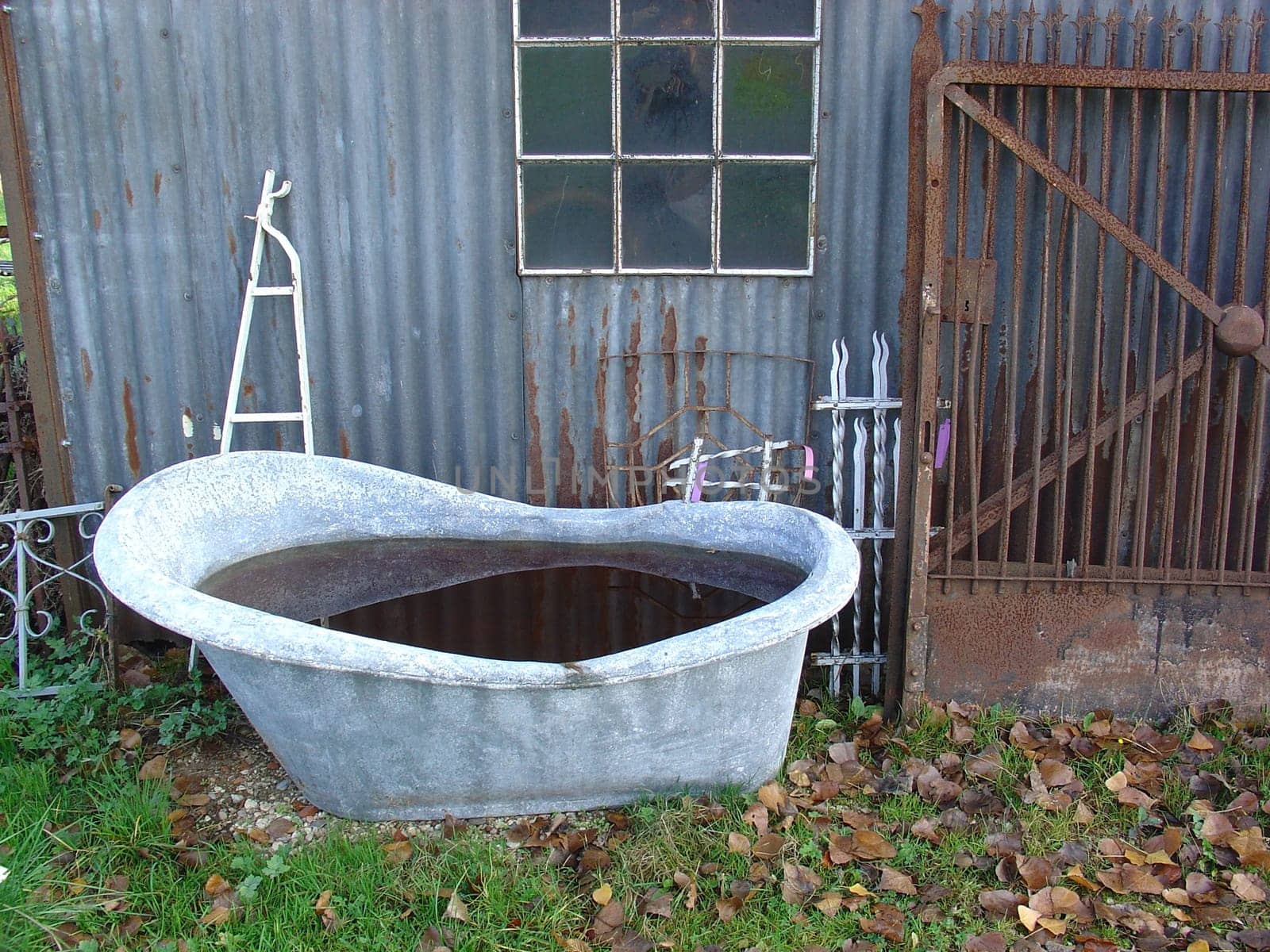 Bathing day