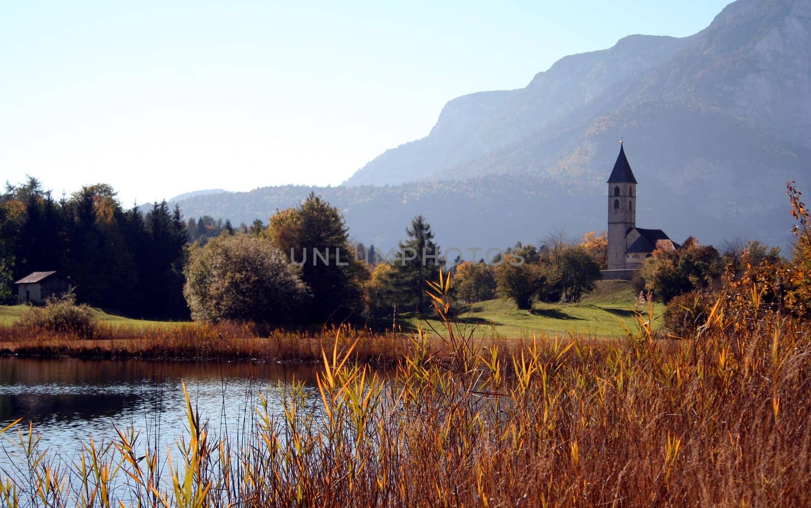 Autumn Impressions IV