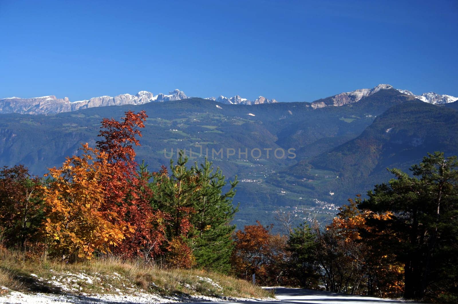 Autumn Impressions V
