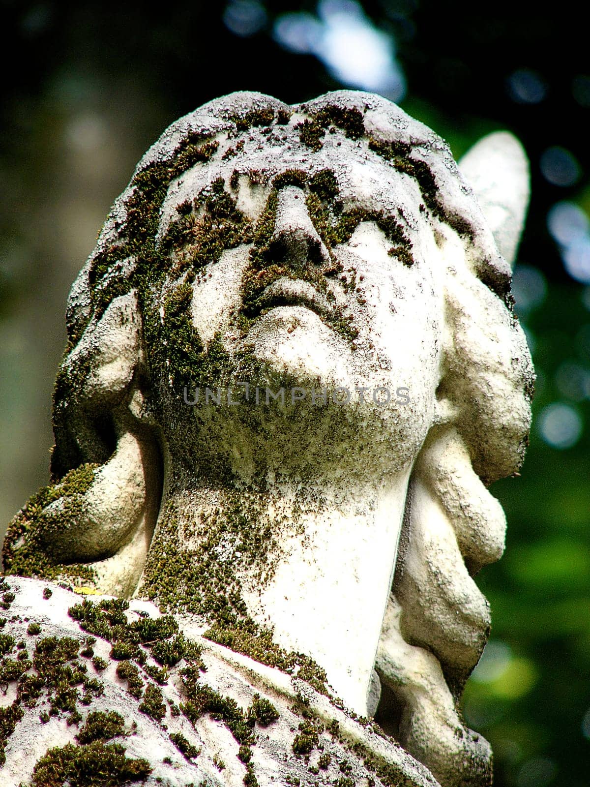 Old Cemetery II