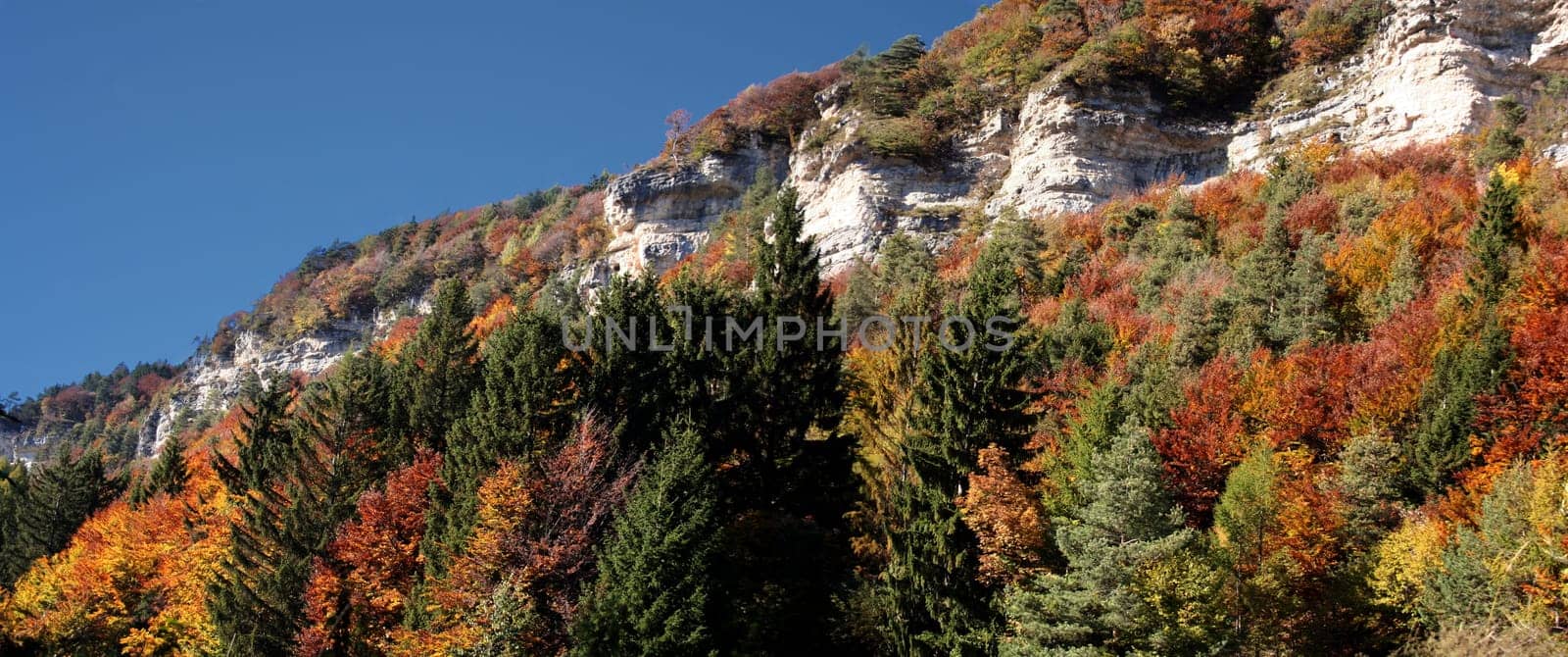 Autumn Impressions VI
