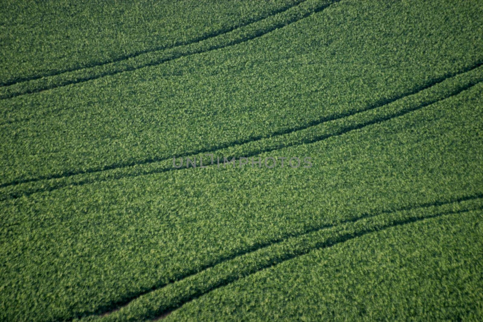 Tractor tracks