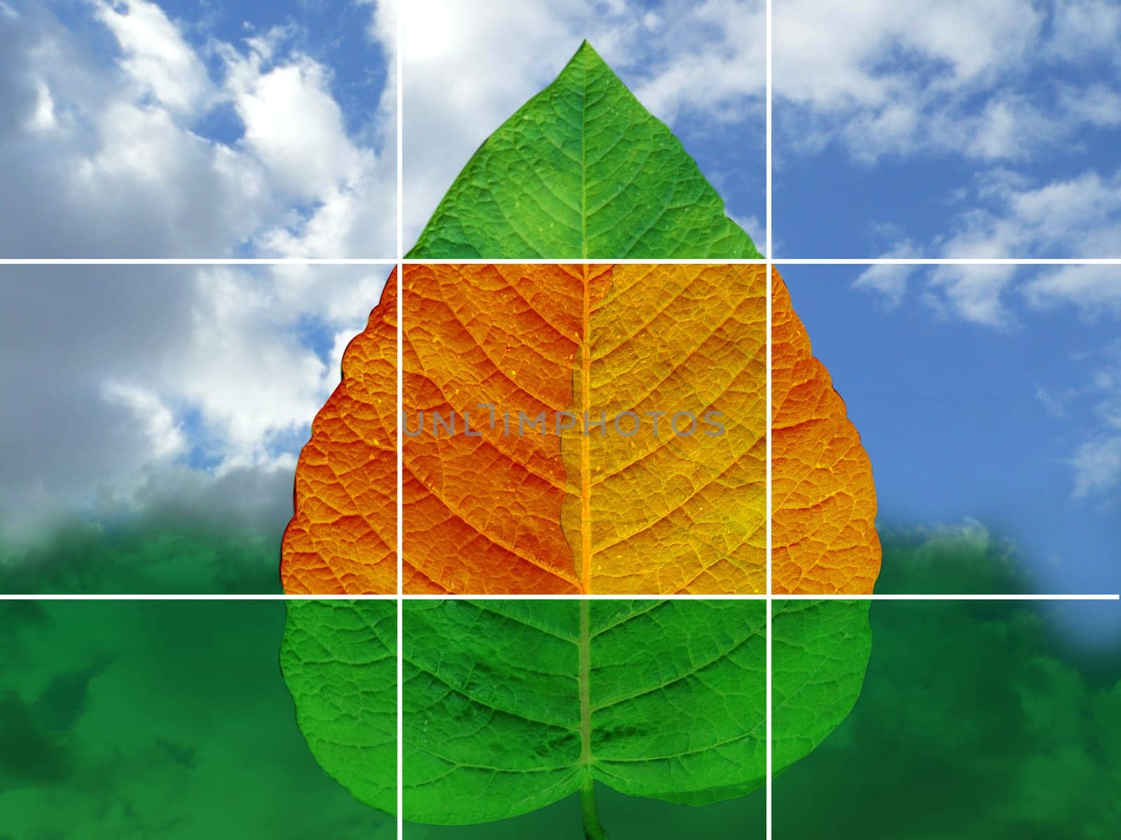 Leafwork