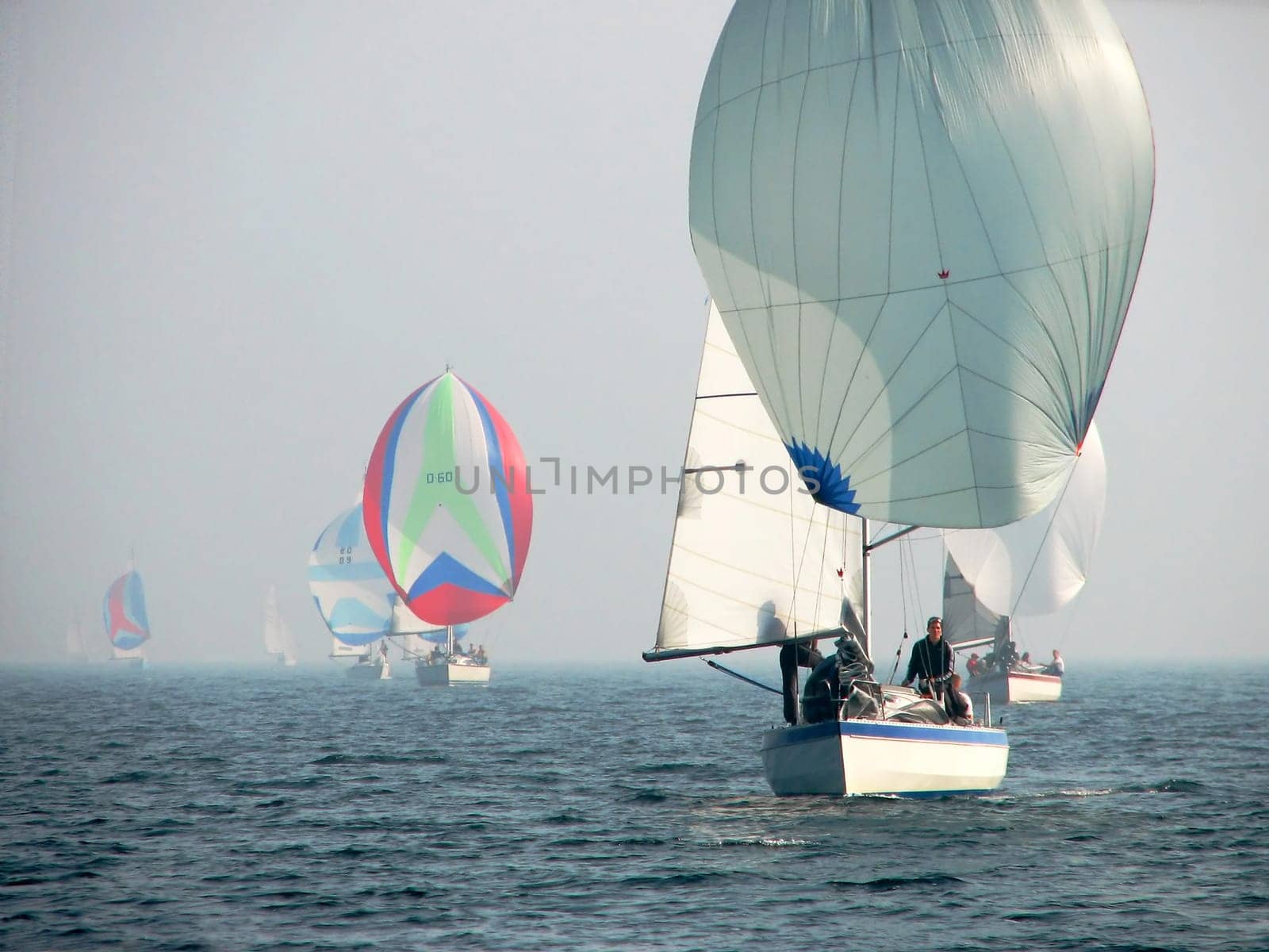 A very special spectacle,a regatta field emerged from the fog.