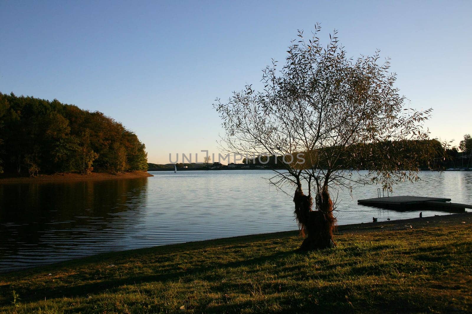 In the evening at the lake