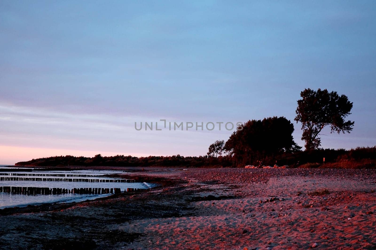 In the evening light