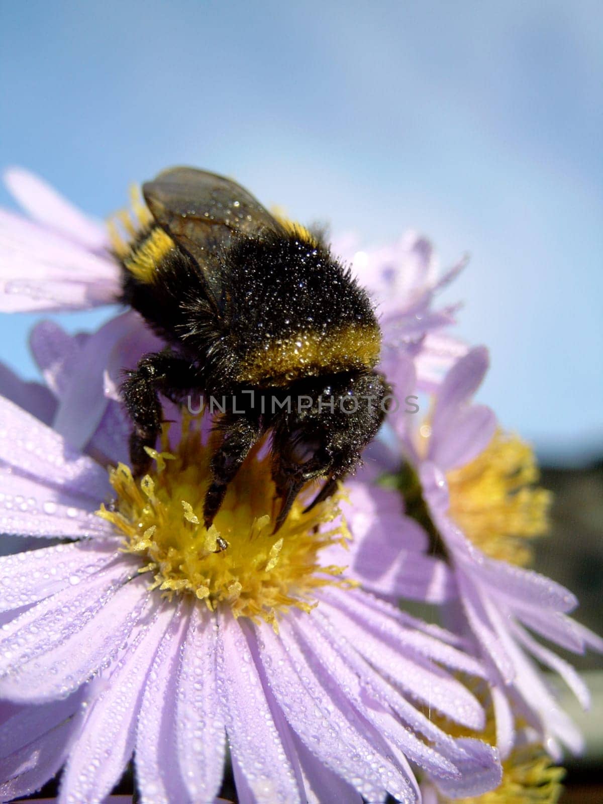 Photo unedited - only cropped