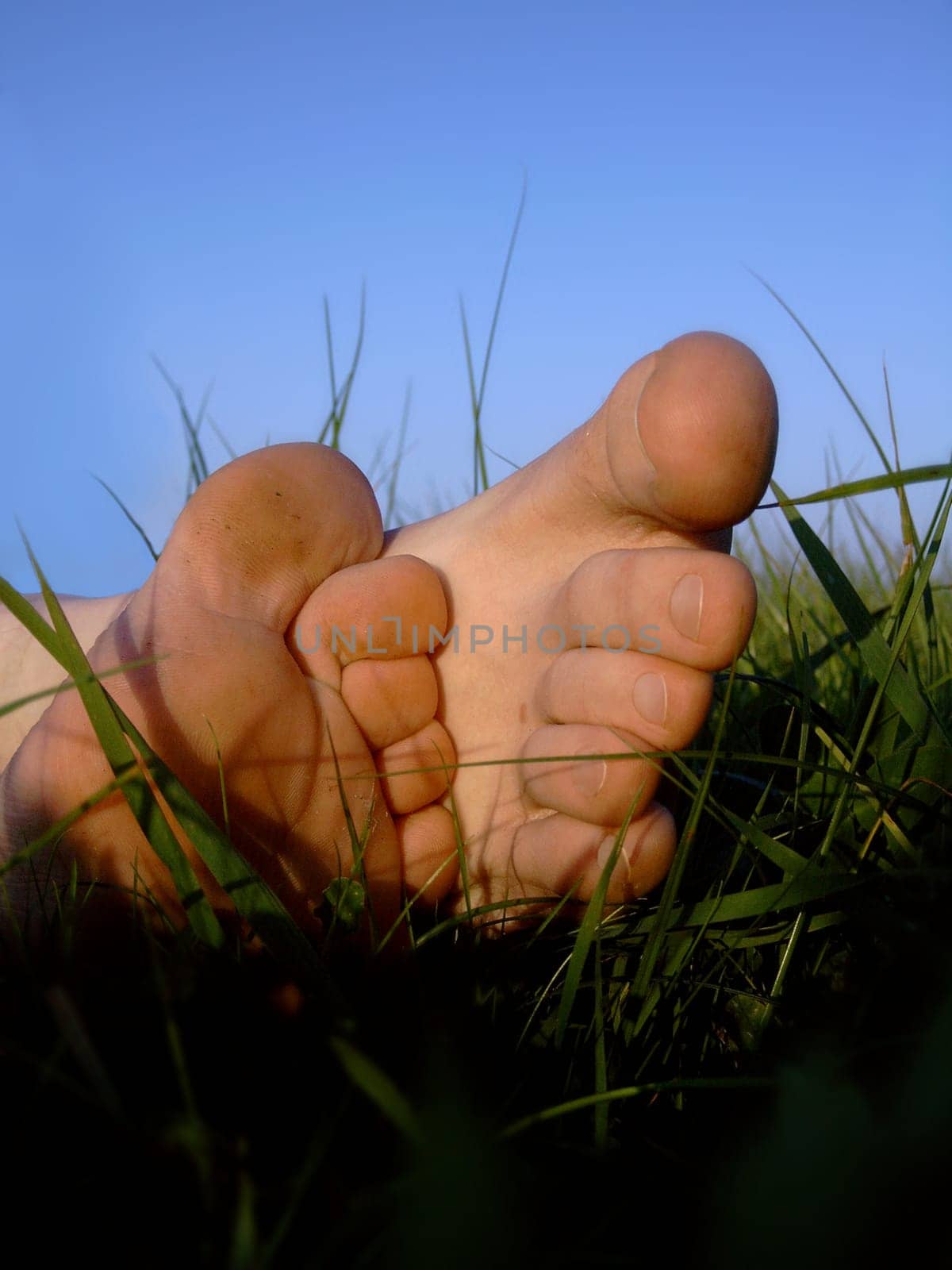 Feet in the grass
