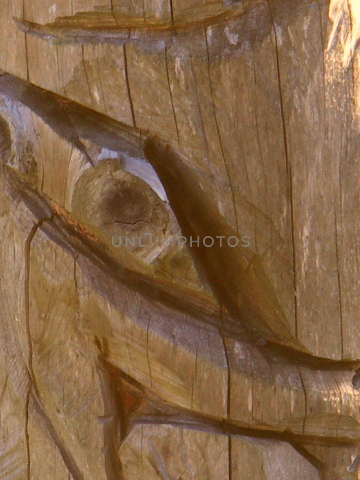 wooden facial features