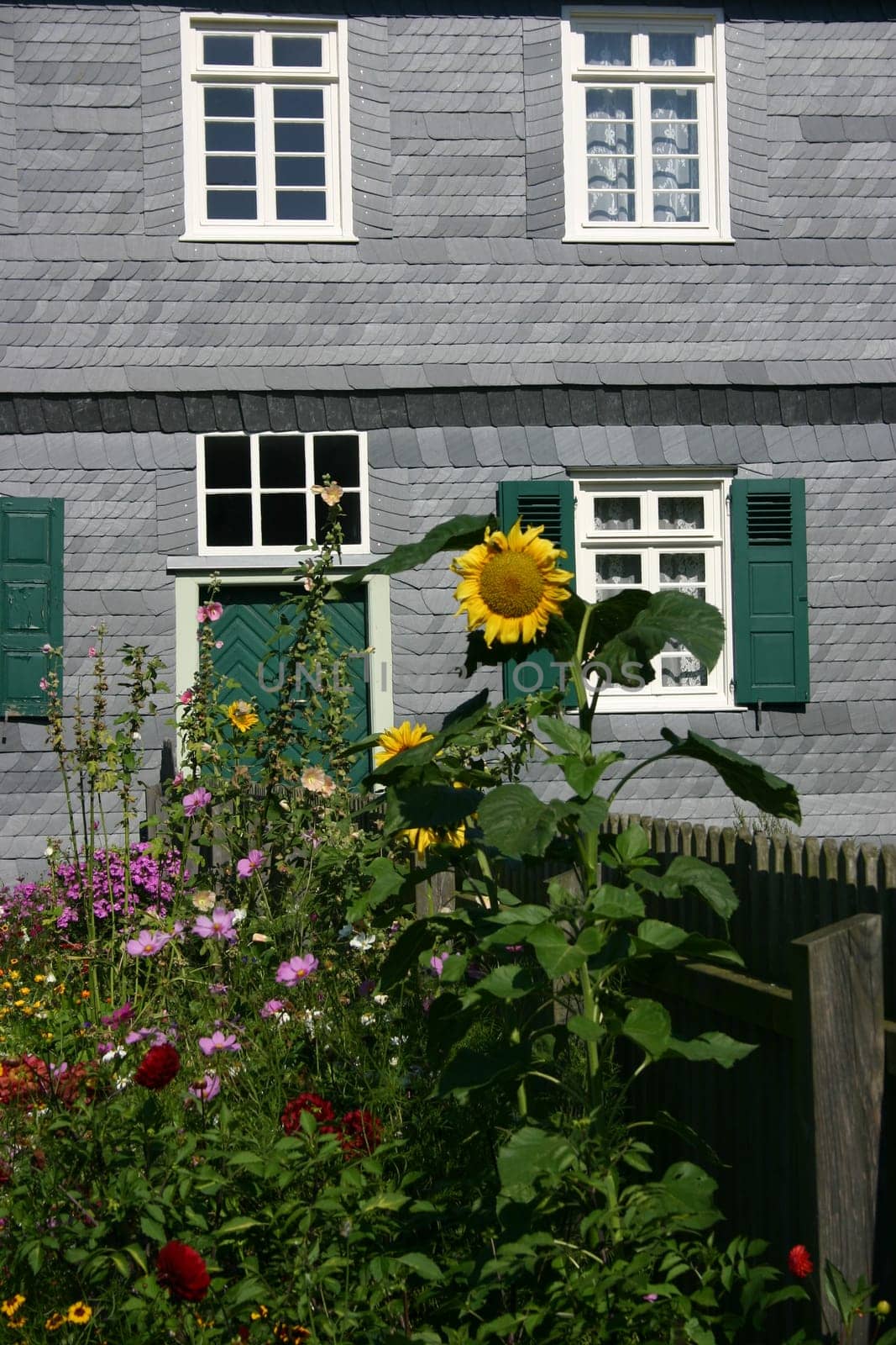 Parsonage Garden
