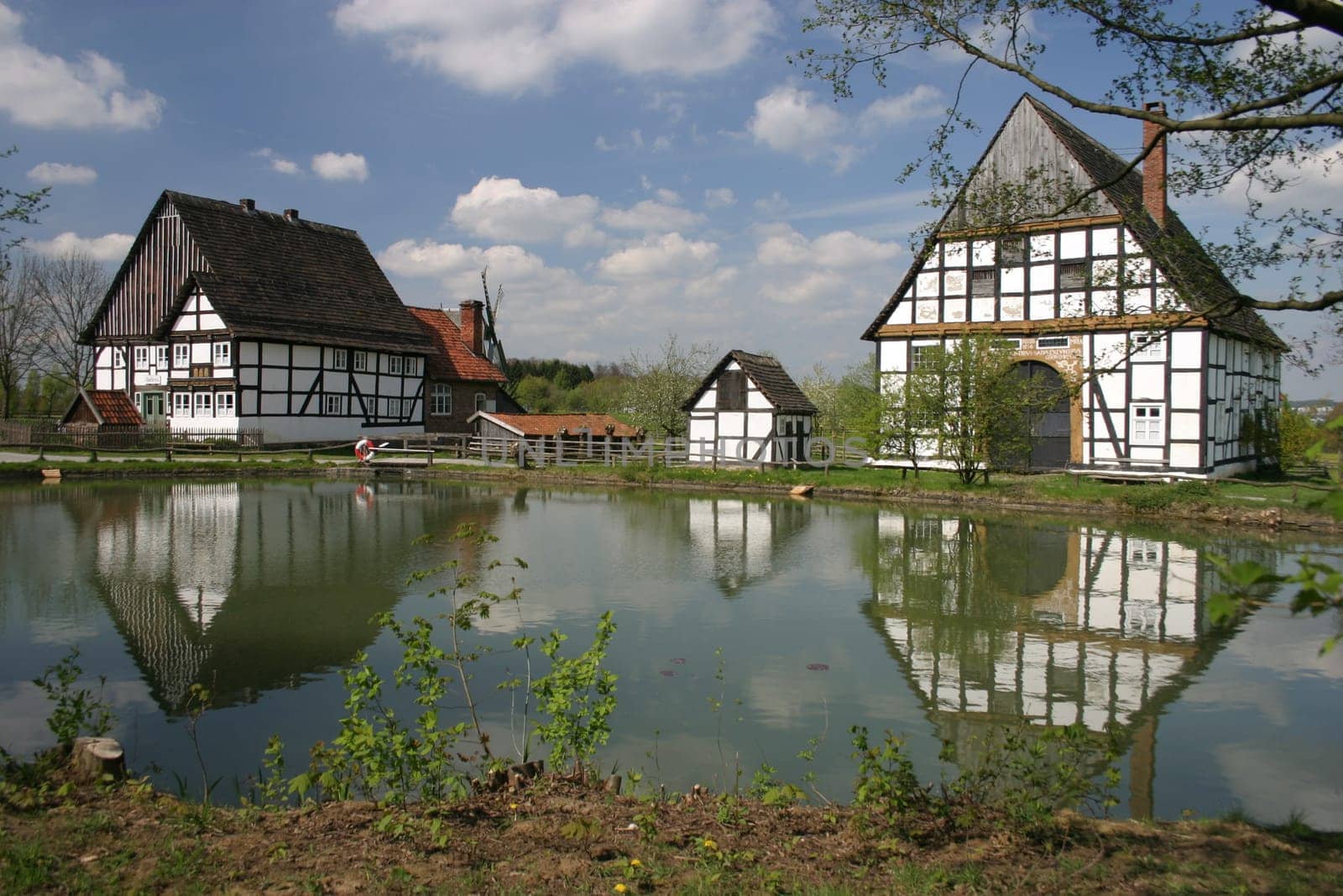 Village pond idyll