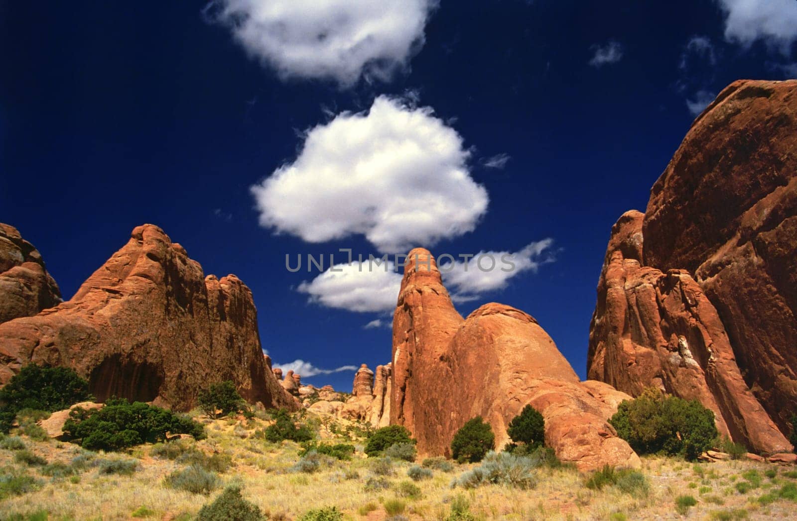 Arches Devils Garden