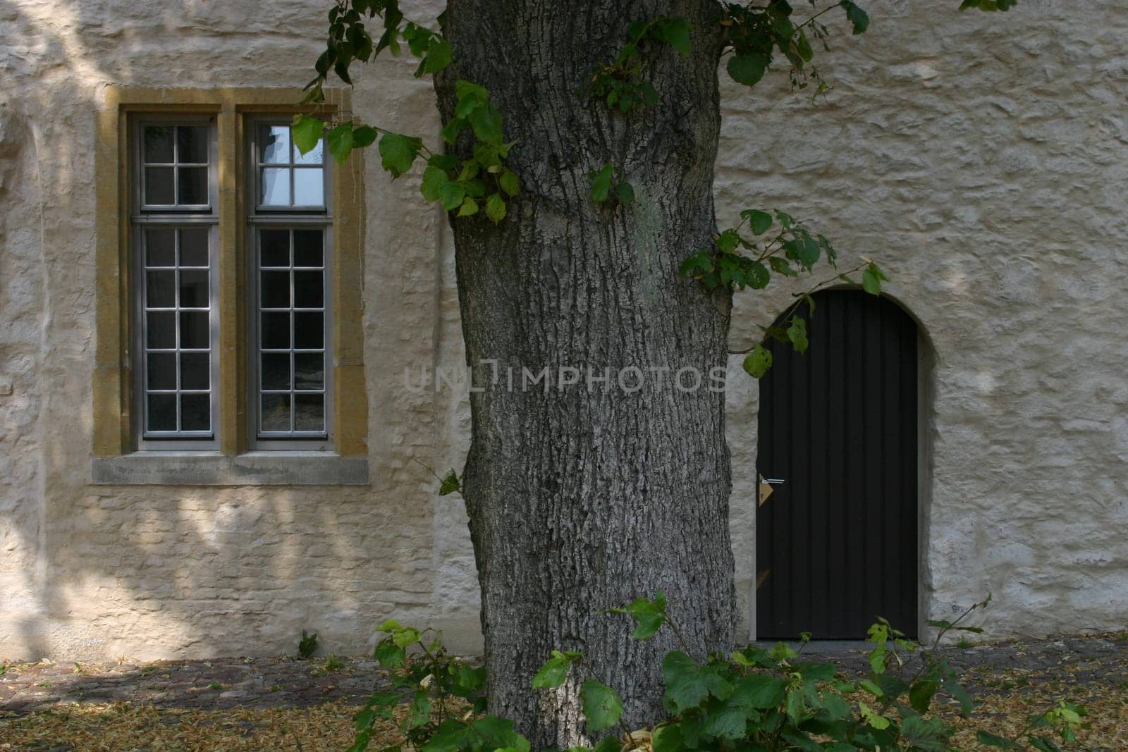Castle courtyard