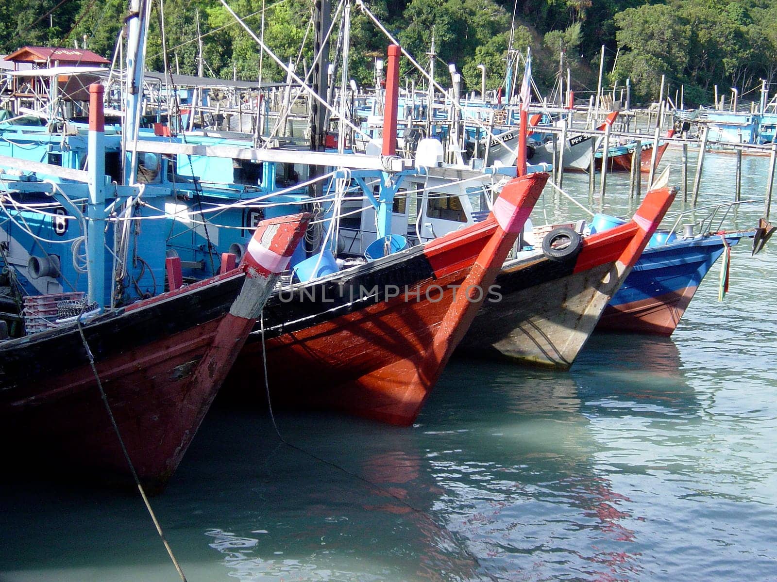 In a fisher harbour Penang,Malaysia,Adobe RGB (1998)