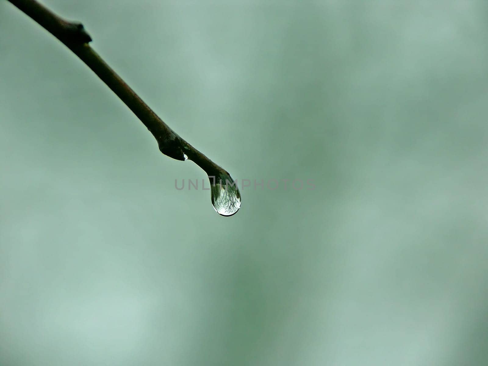 Drop