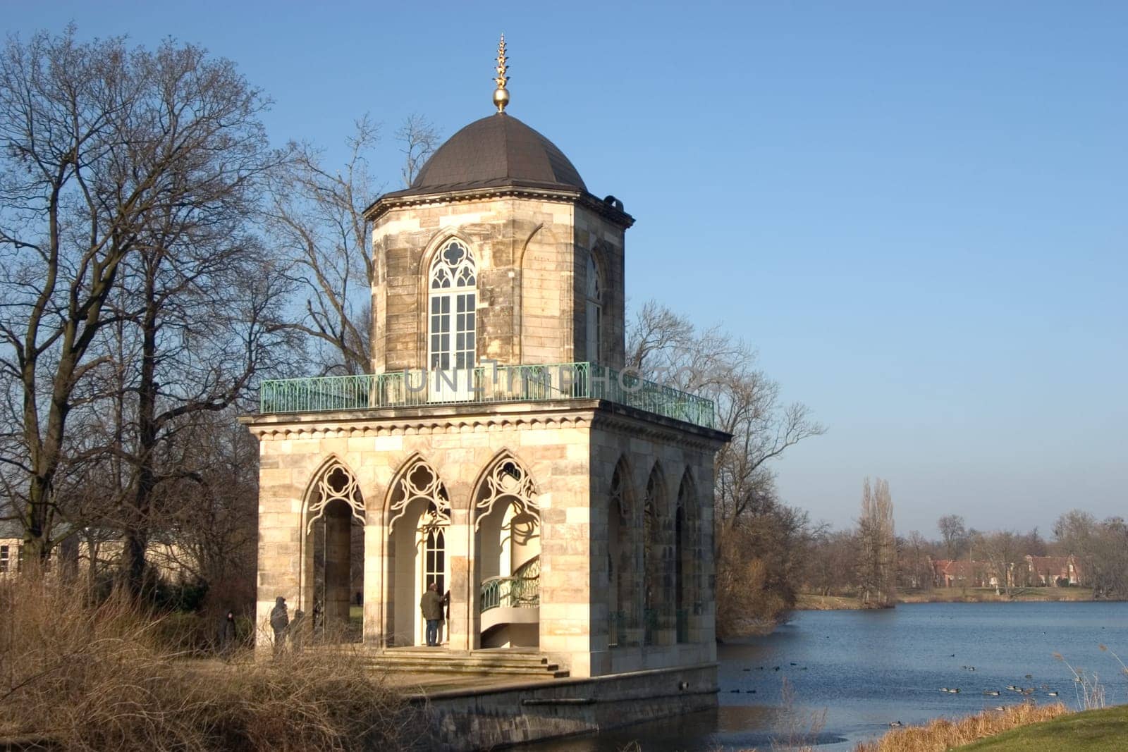 Gothic library
