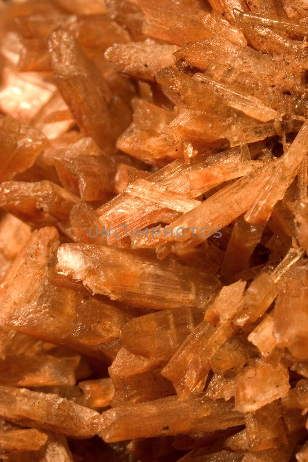 Gypsum crystals 02