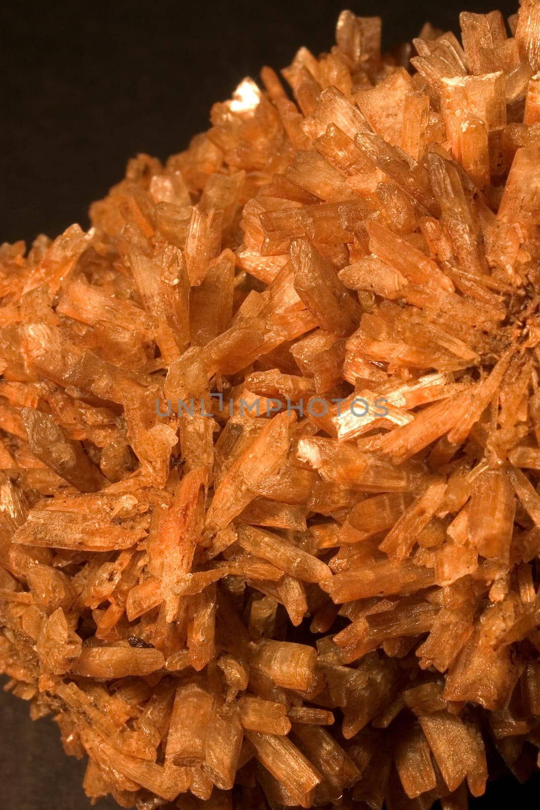 Gypsum crystals 01