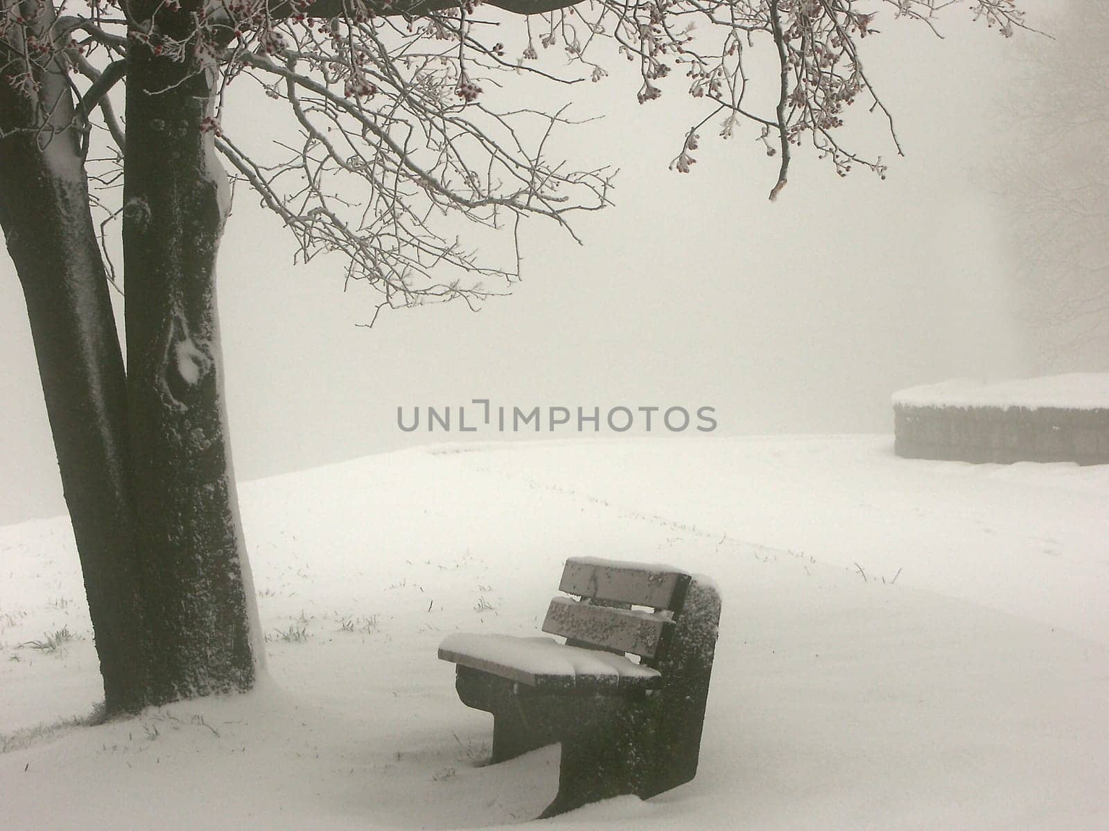 Winter Impressions II