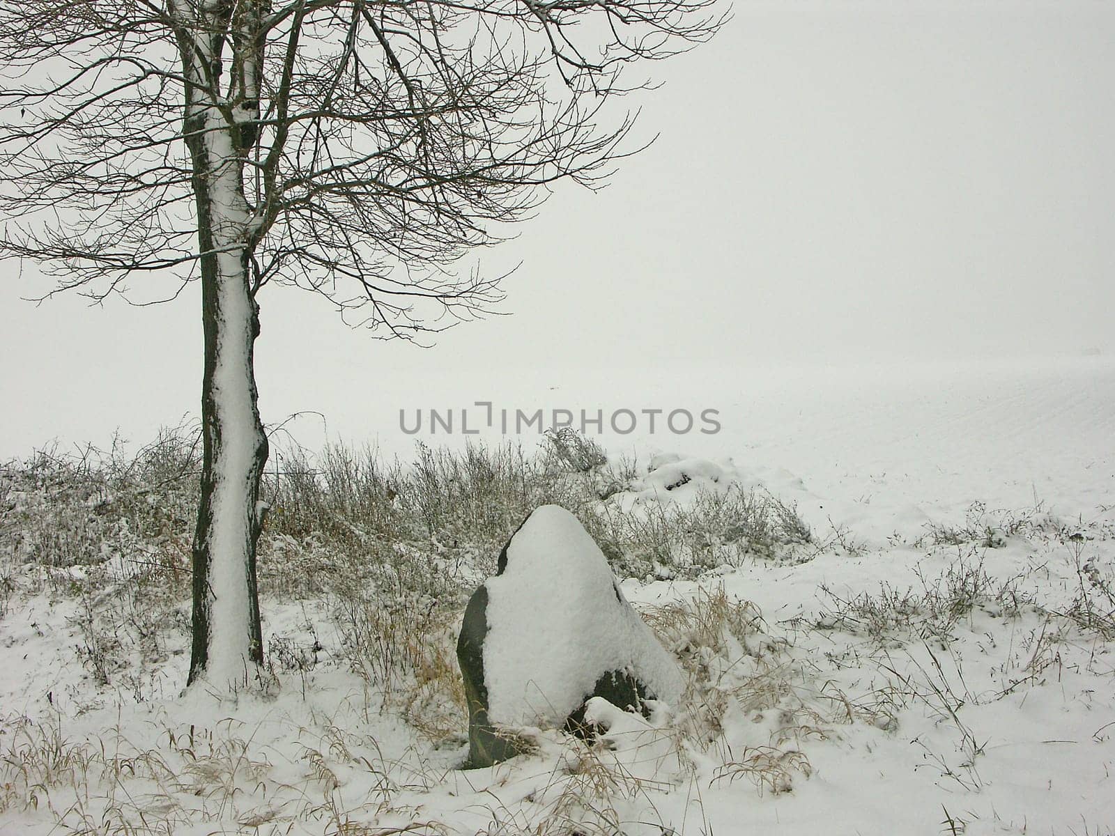 Winter Impressions III