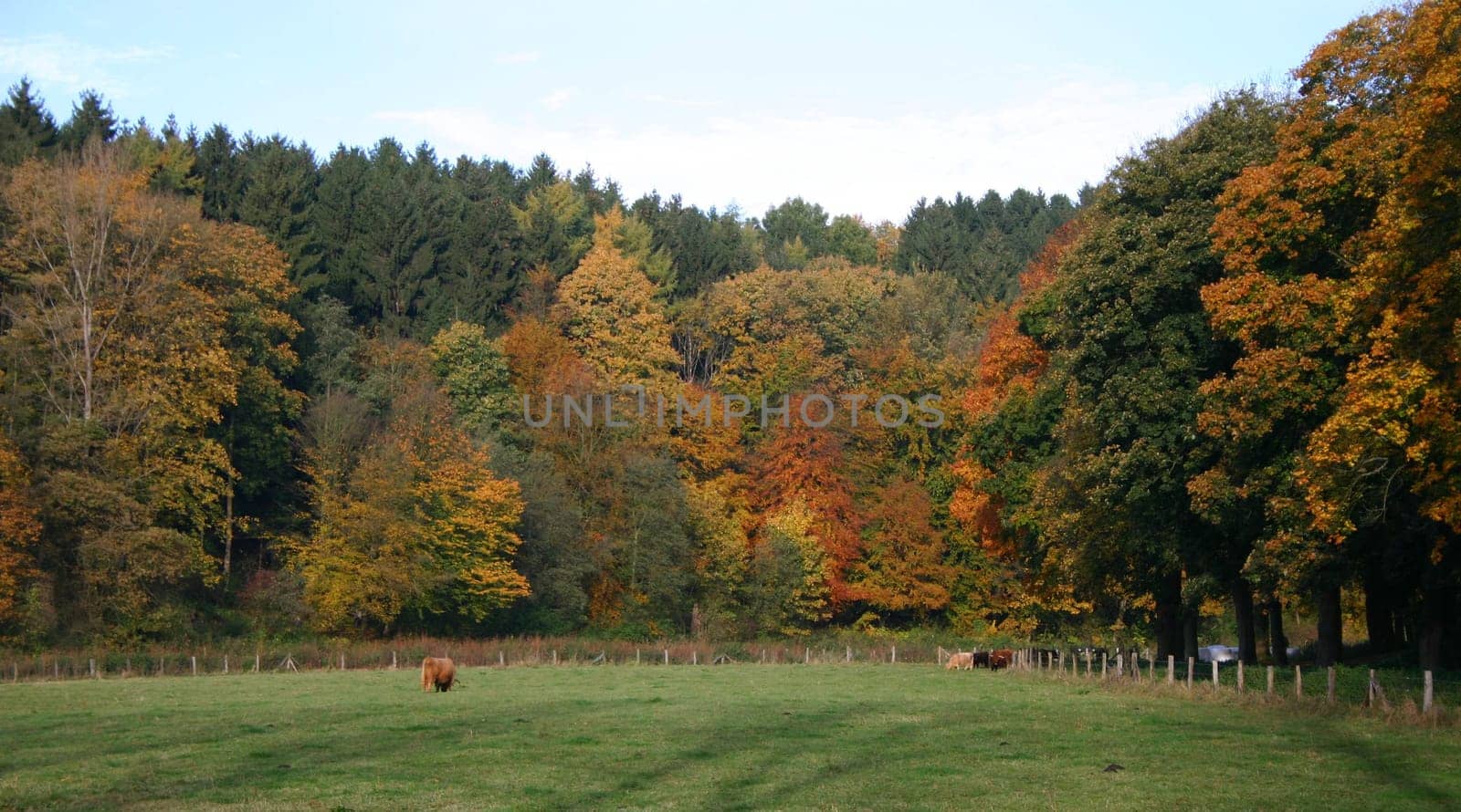 Today we were in the forest with our kindergarten children,in this weather it was just fun. Greeting Bea