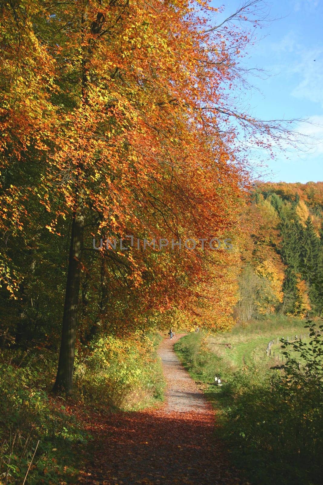 .. in Haxtergrund,a local recreation area near Paderborn... AFTERWARDS I DEDICATE THIS PHOTO TO PROSE WITH A HOMELY GREETING! LG BEA
