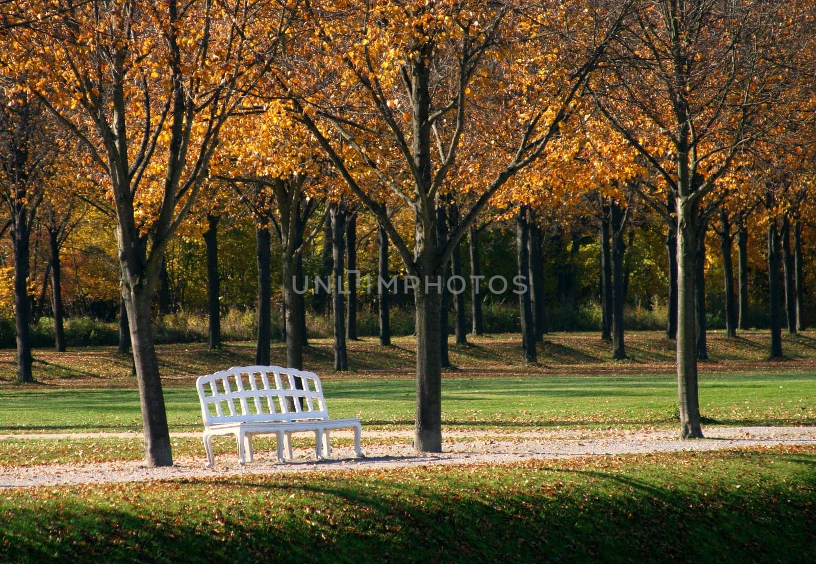 Park with bench