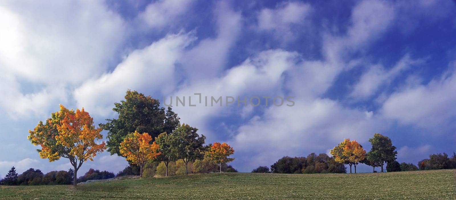 Autumn Panorama
