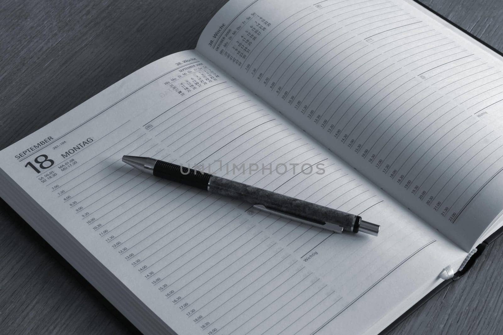 Diary