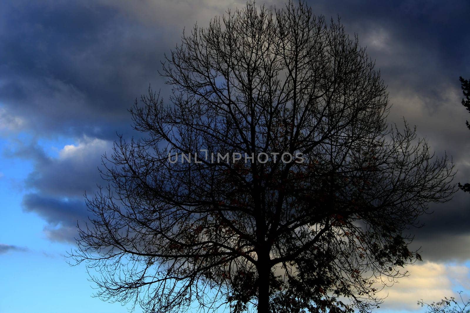 Cloud Play
