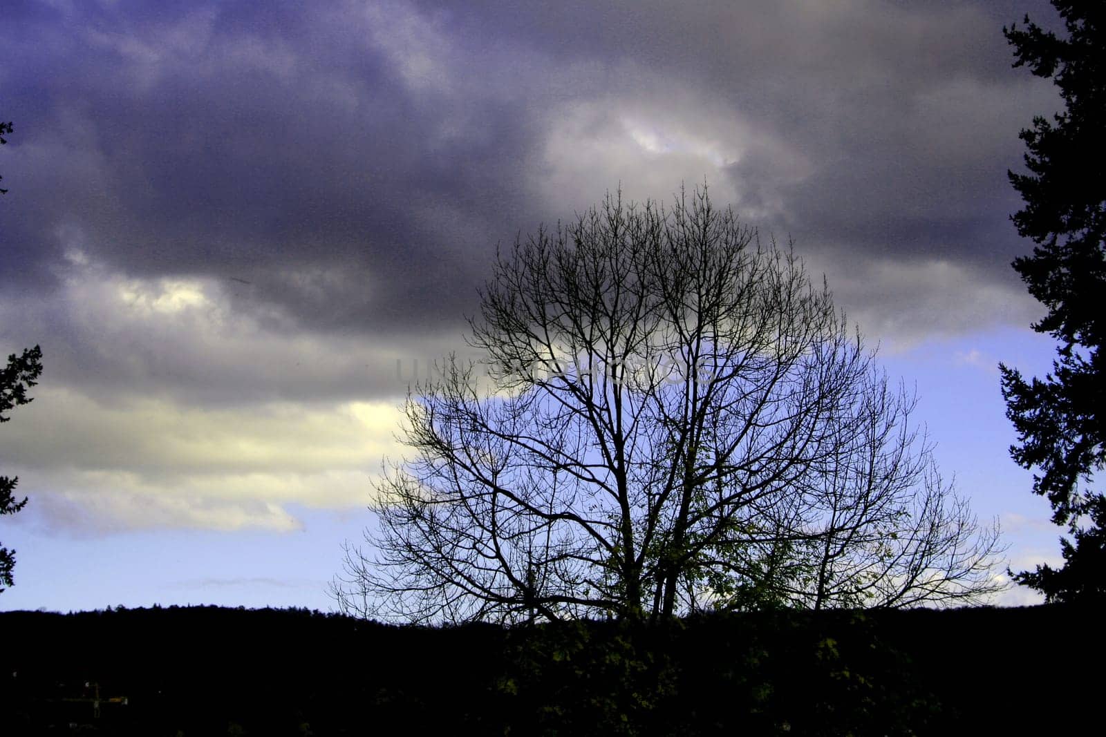 Cloud Play