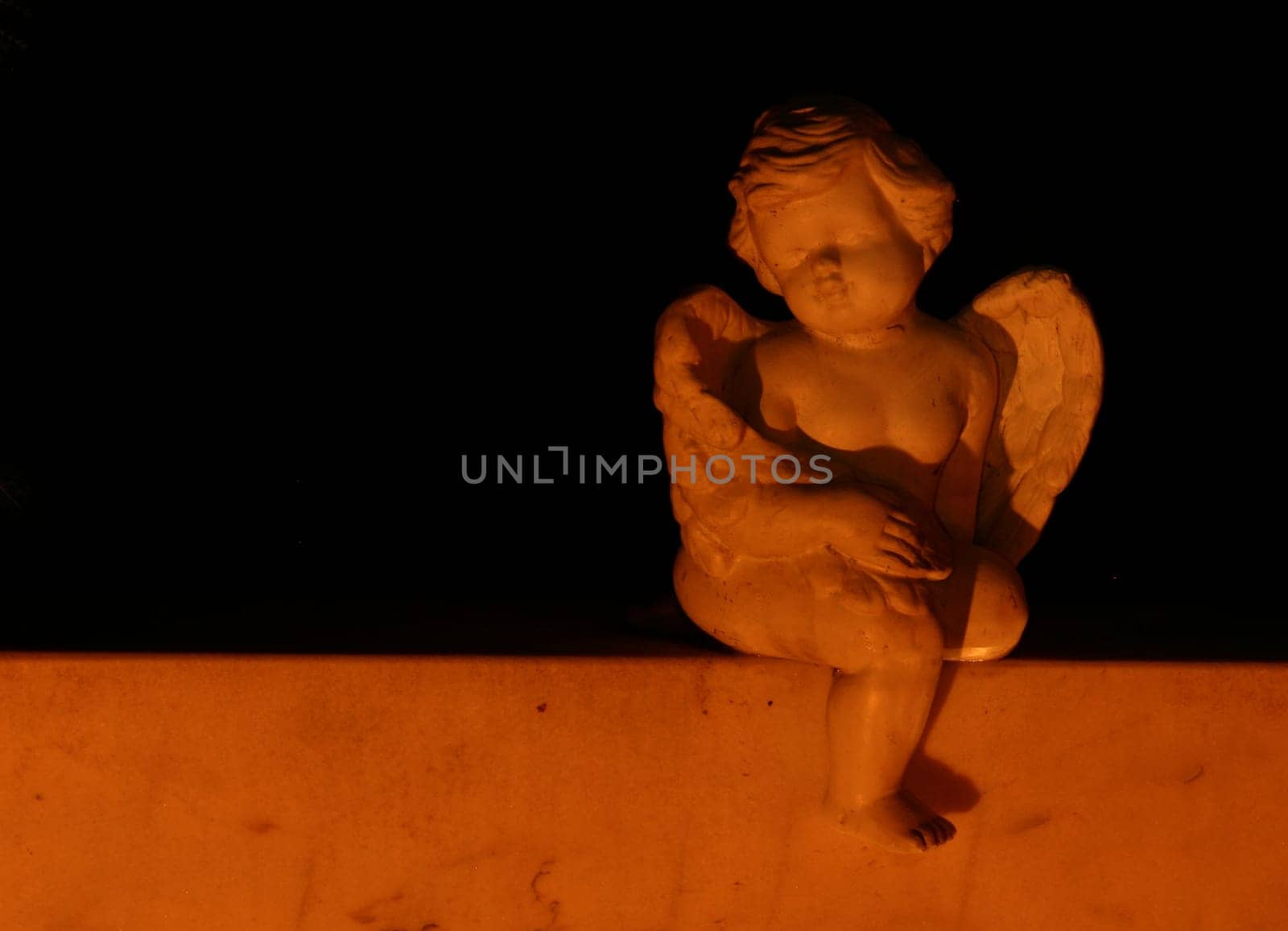 .... I was yesterday on one of my nightly forays... all of a sudden,this little angel smiled at me from the side...