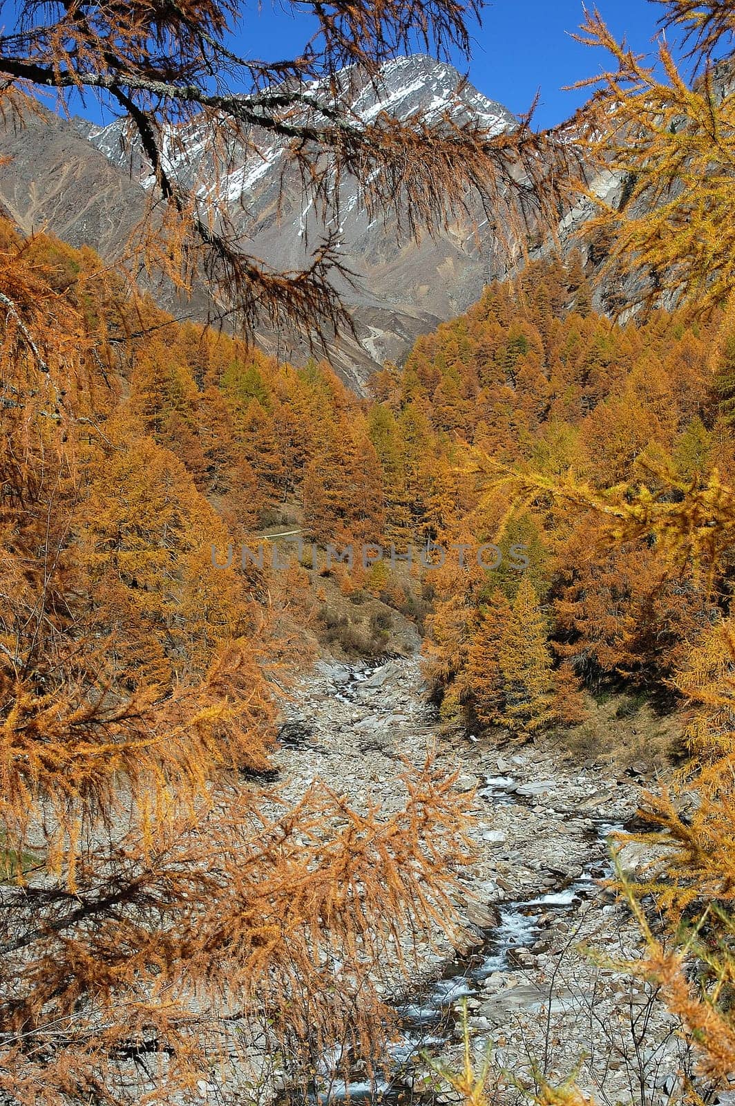 Mountains