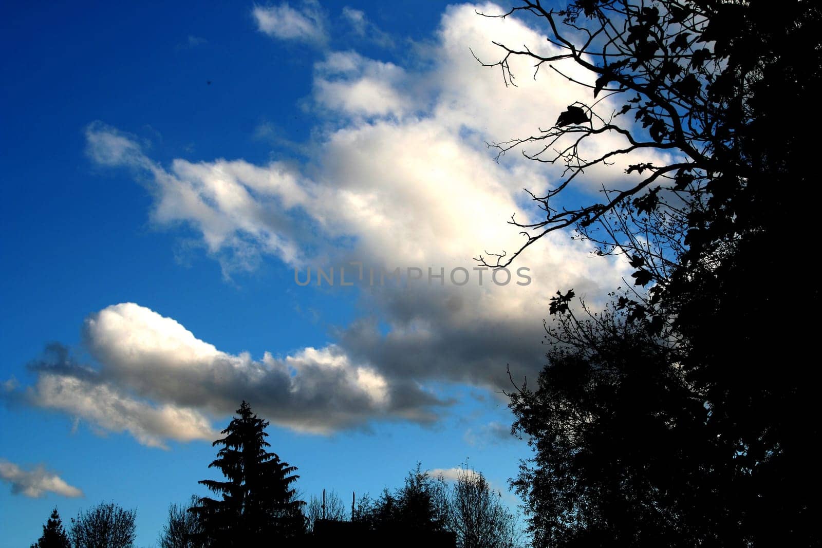 Cloud Play