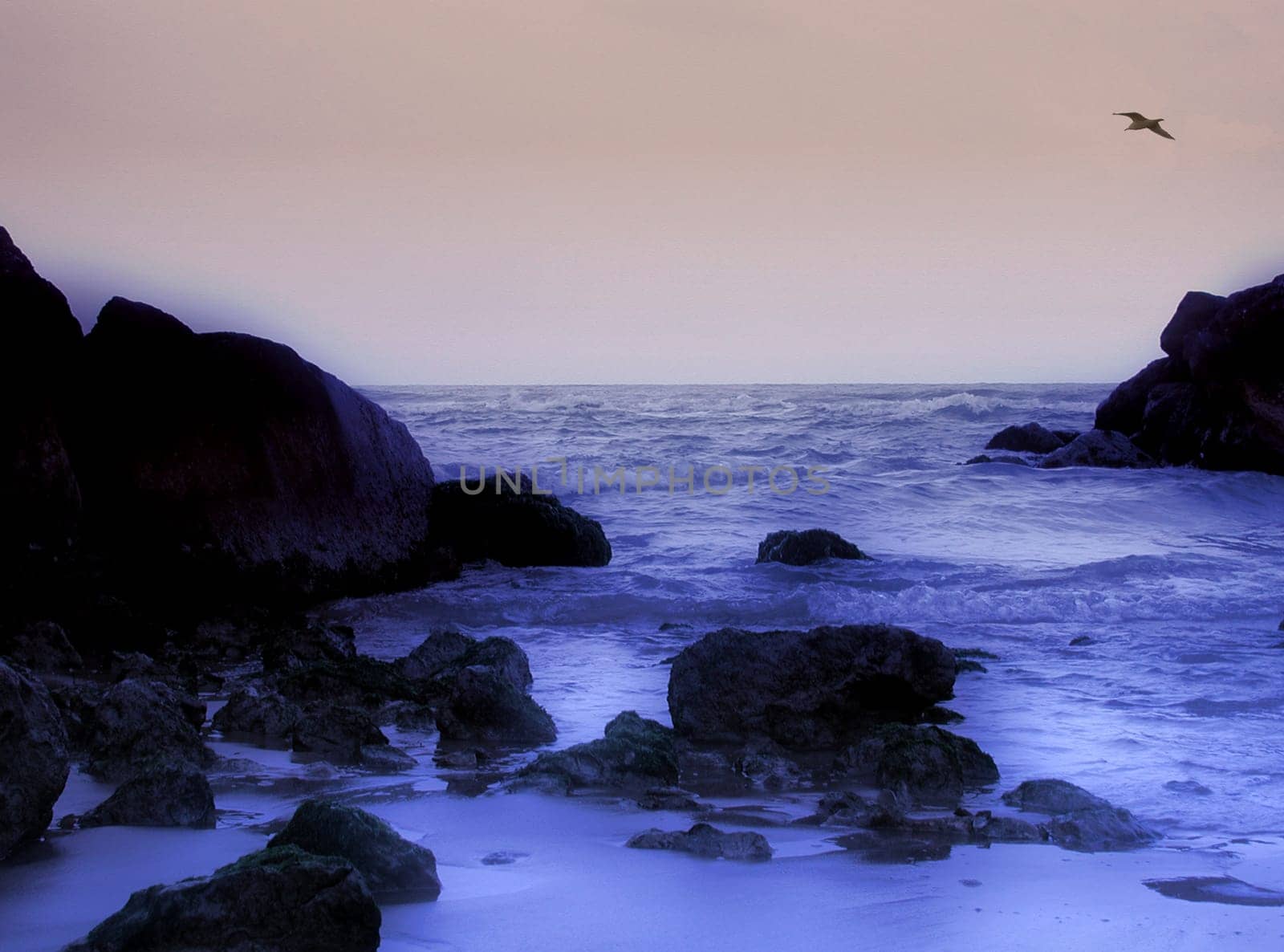 Solitude on the beach