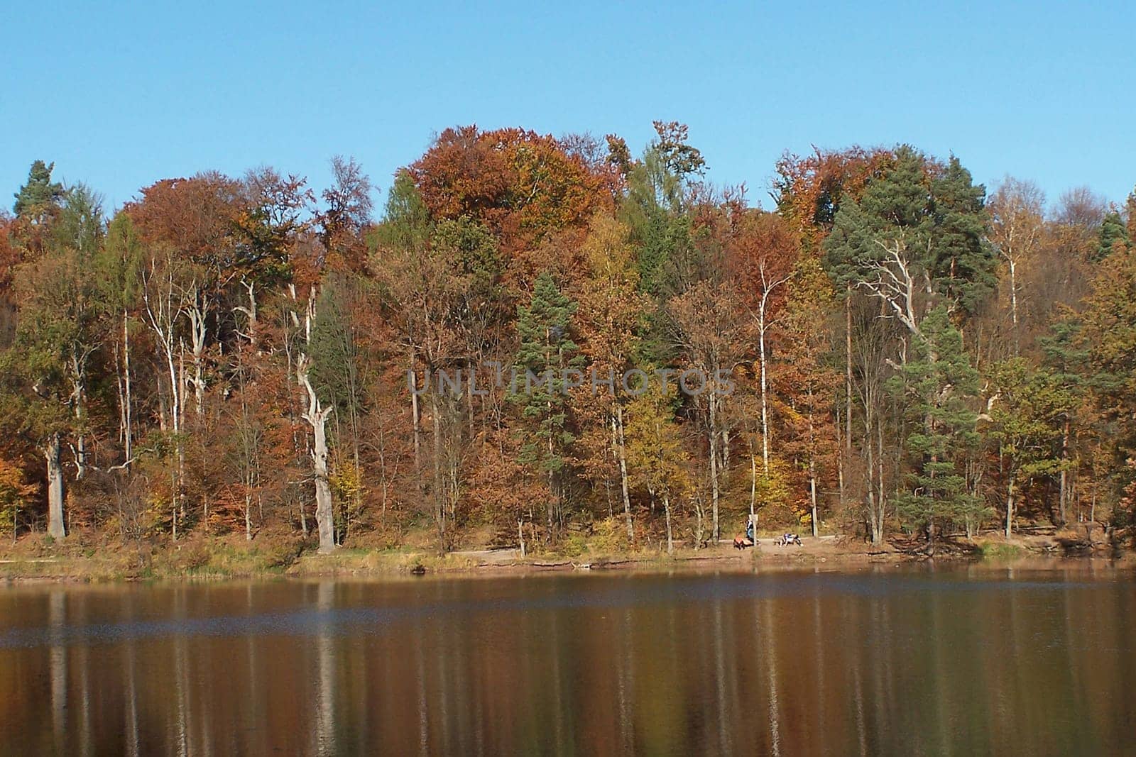 The Bear Lakes are a local recreation area and drinking water reserve for Stuttgart
