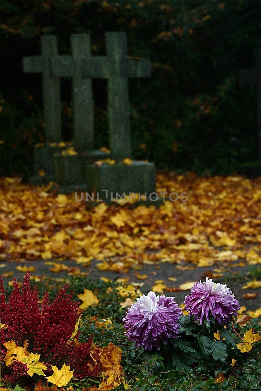 03.11.2005 at the main cemetery