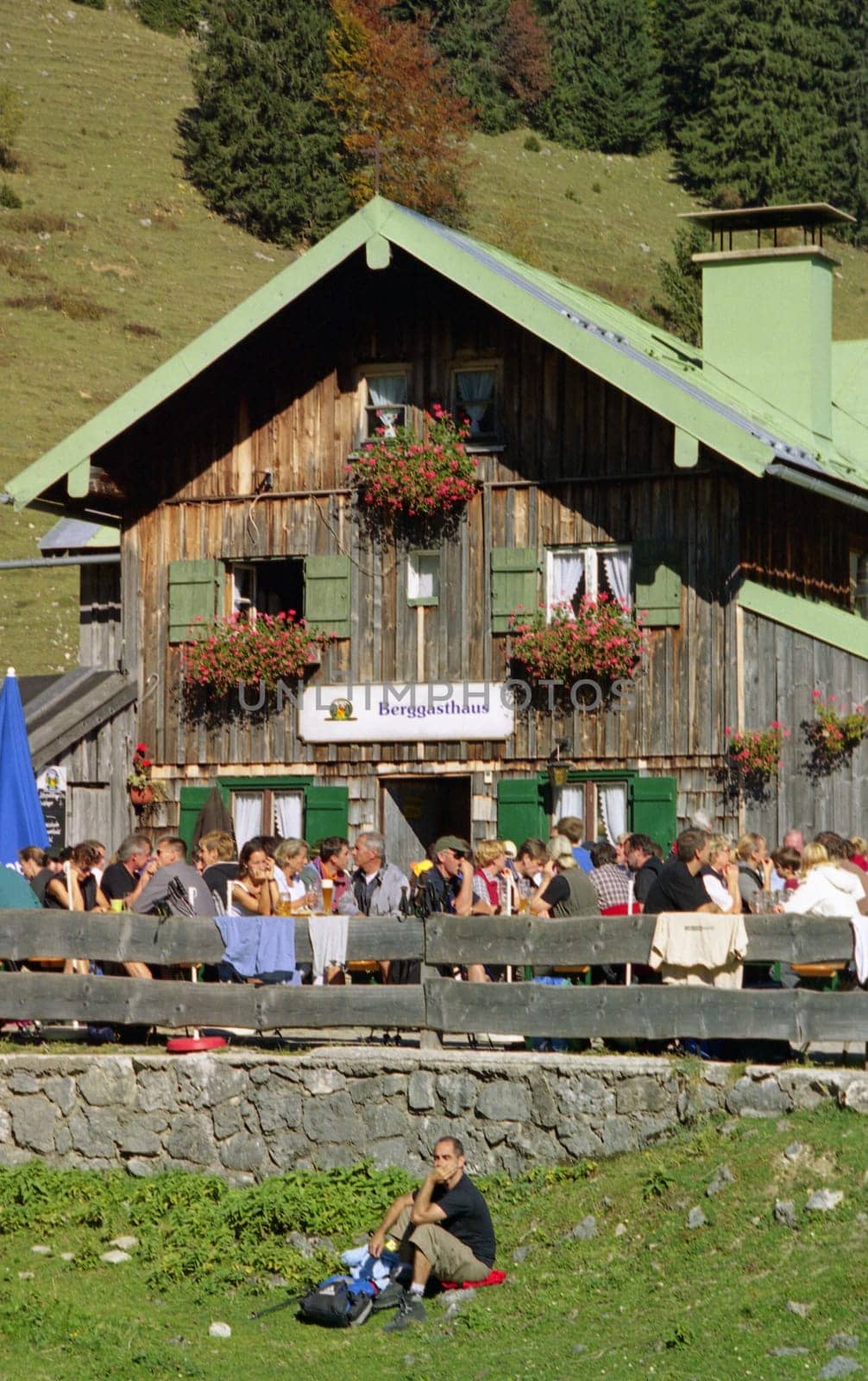 Auf der Alm II
